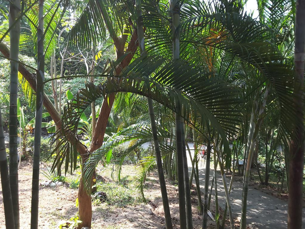 Wilai Villa Lamai Maret Buitenkant foto