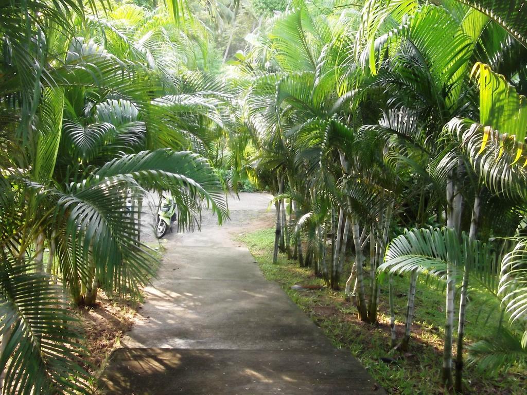 Wilai Villa Lamai Maret Buitenkant foto