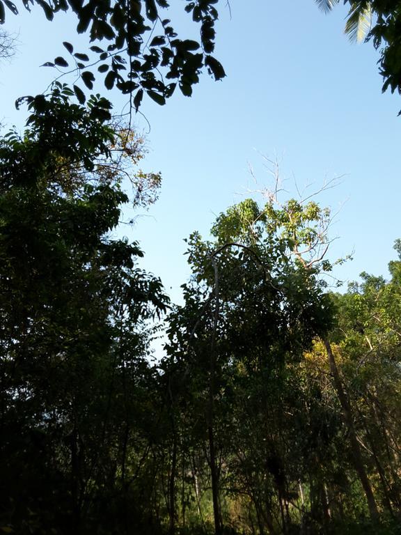 Wilai Villa Lamai Maret Buitenkant foto